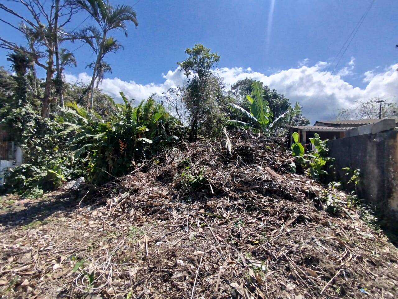 #879 - Área para Venda em Bertioga - SP