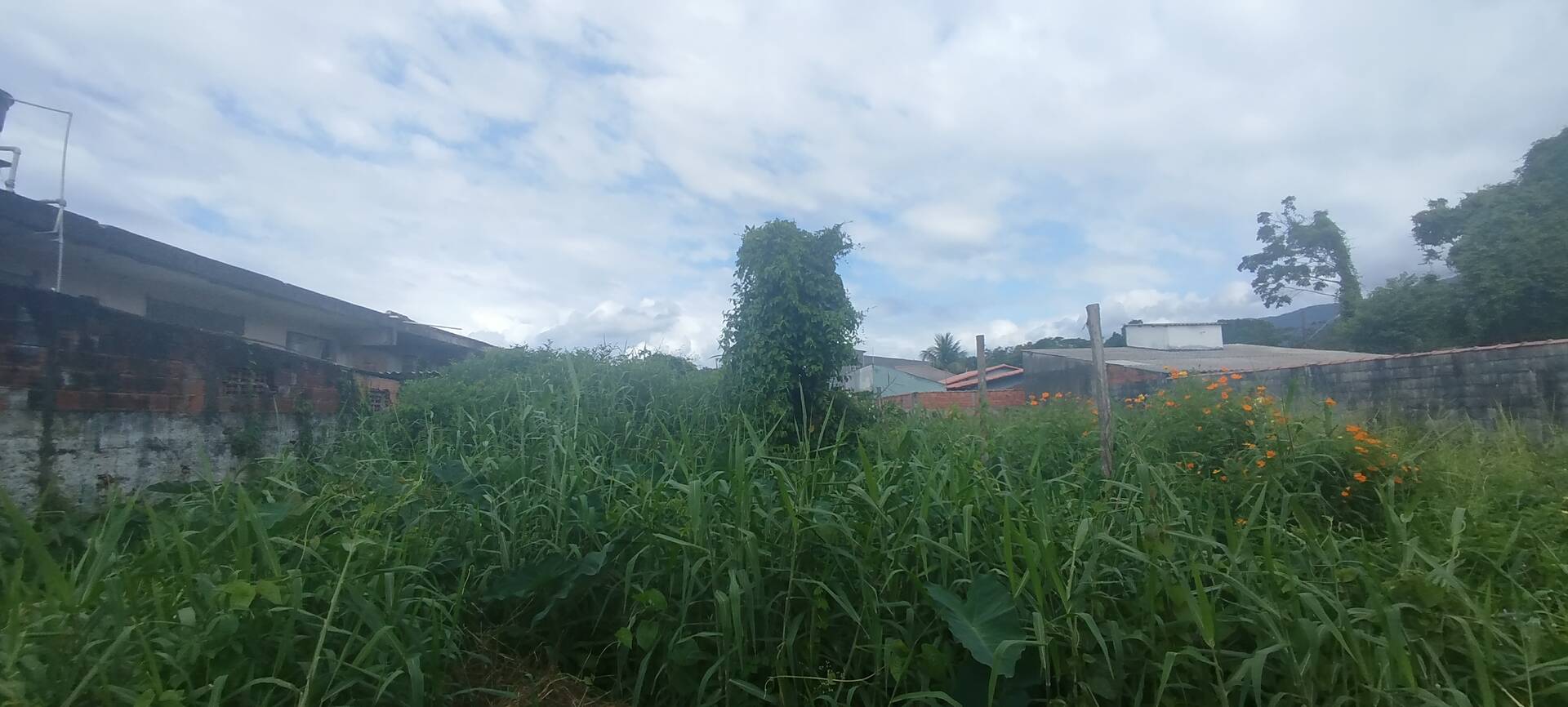 #926 - Área para Venda em Bertioga - SP