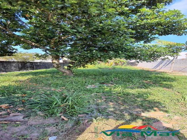 #901 - Área para Venda em Bertioga - SP - 2