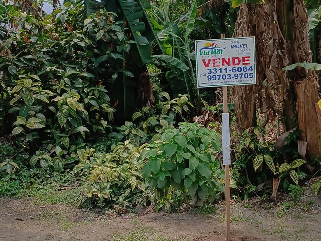 Área para Venda em Bertioga - 5
