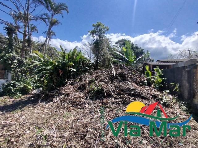 #879 - Área para Venda em Bertioga - SP - 1