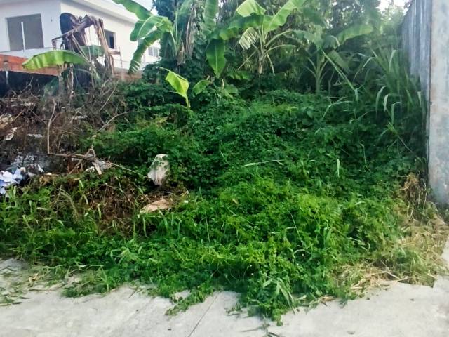 #913 - Área para Venda em Bertioga - SP - 3