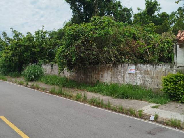 #917 - Área para Venda em Bertioga - SP - 1