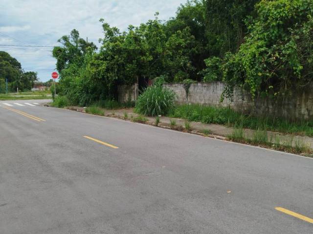 #917 - Área para Venda em Bertioga - SP - 3