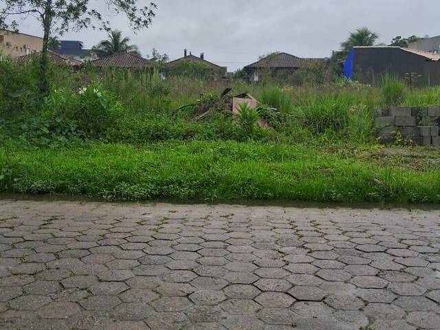 Área para Venda em Bertioga - 5