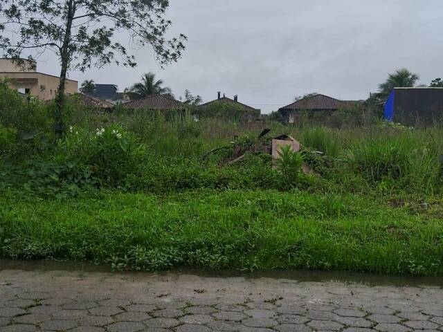 Área para Venda em Bertioga - 4