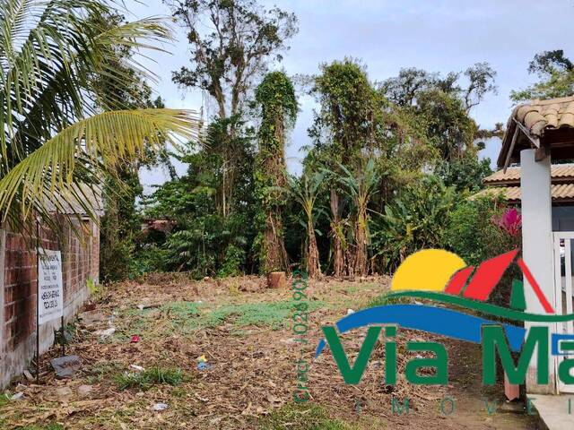 #951 - Área para Venda em Bertioga - SP - 1